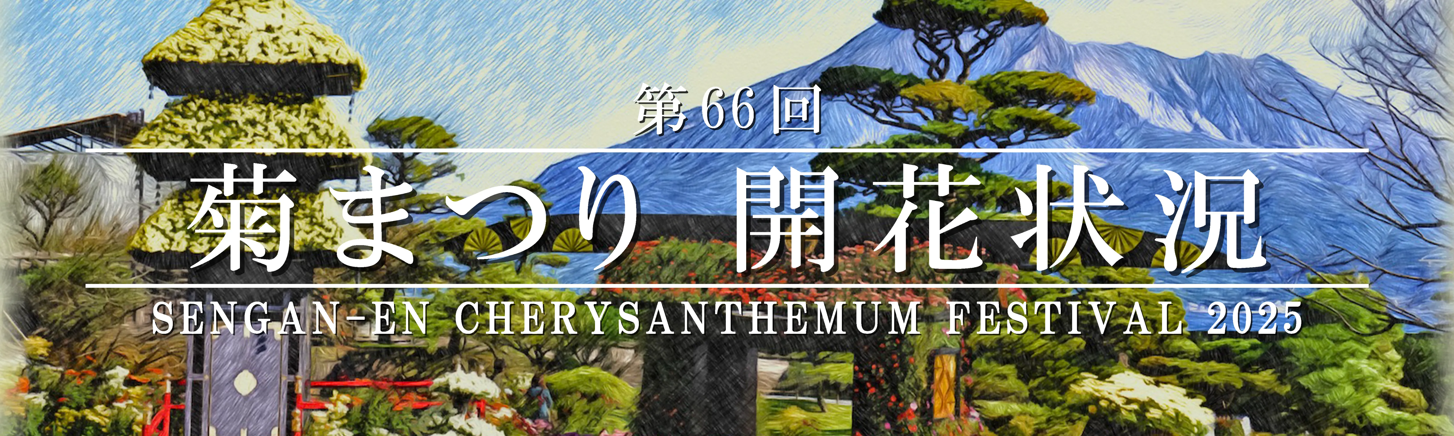 菊まつり 開花状況