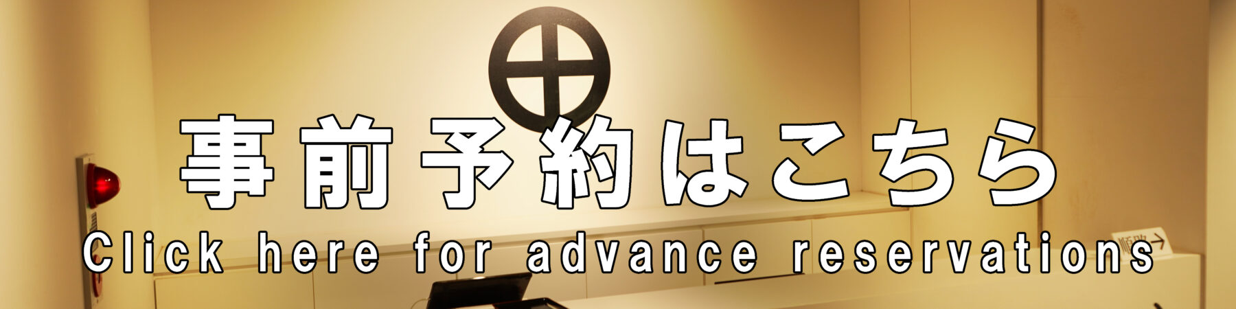 菊まつり 開花状況